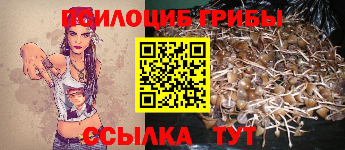 Псилоцибиновые грибы мицелий  Вход с VPN  Кириши 
