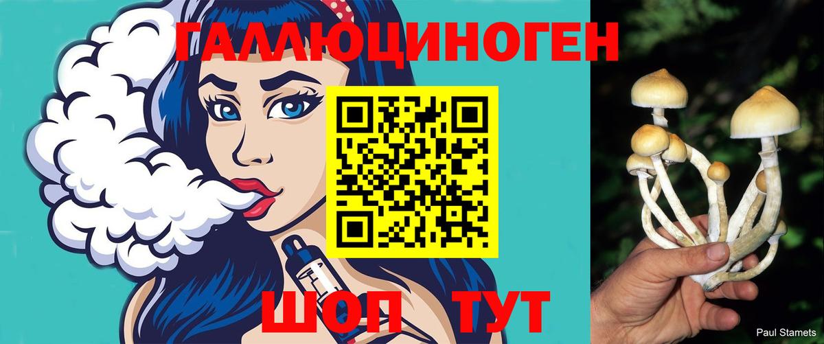 Галлюциногенные грибы прущие грибы Кириши